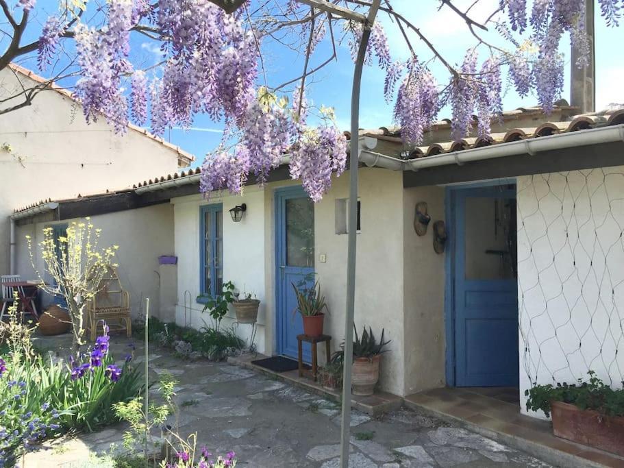 La Campagne Dans La Ville Narbonne Exteriör bild