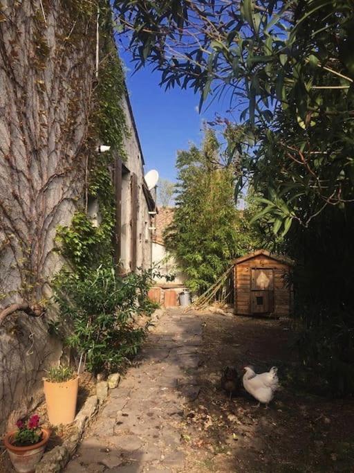La Campagne Dans La Ville Narbonne Exteriör bild