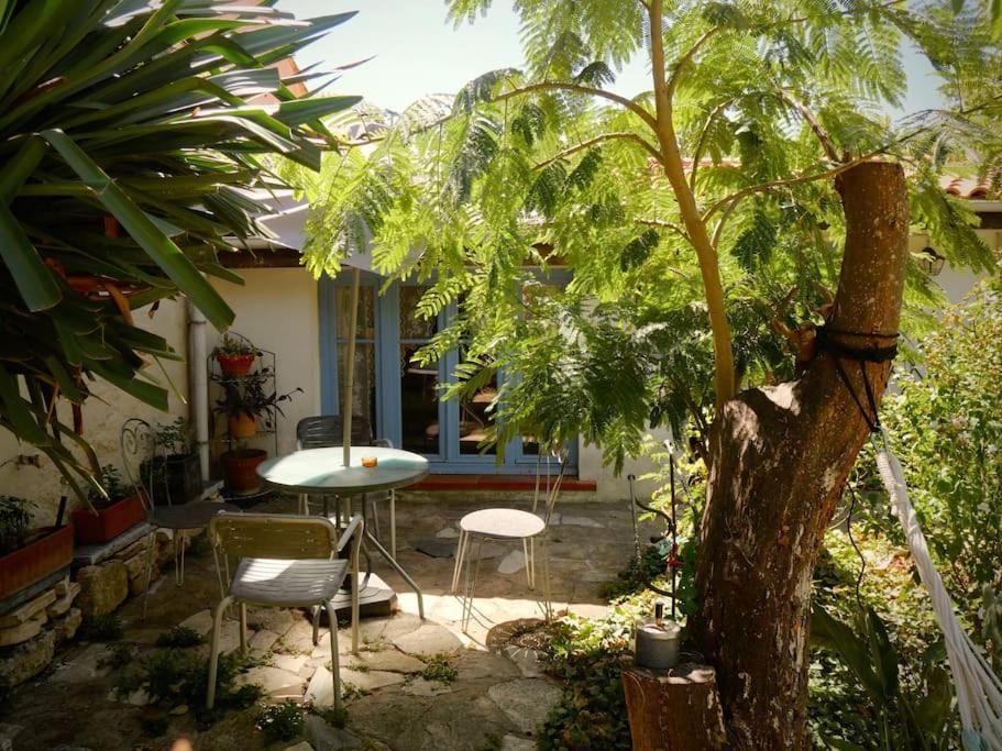 La Campagne Dans La Ville Narbonne Exteriör bild