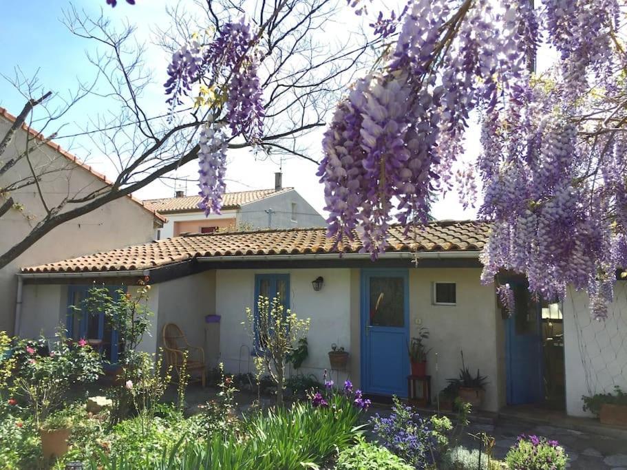 La Campagne Dans La Ville Narbonne Exteriör bild